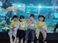 🌼가을 소풍 다녀왔어요🌼 - 3세 초록새싹반 - 충주시립옹달샘어린이집 🌼가을 소풍 다녀왔어요🌼