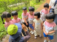 ♧푸른 숲체험♧ - 3,4,5세 푸른하늘반/푸른하늘1반 - 충주시립옹달샘어린이집 ♧푸른 숲체험♧