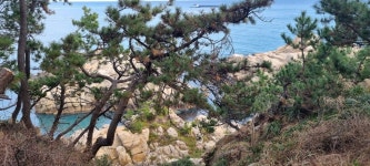 울산 대왕암을 동기들과 함께 관광 - 세월 발자국 방(별과바람) - 진갱빈 과수원집 울산 대왕암을 동기들과 함께 관광