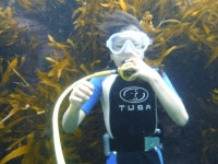 학포 울릉도에서 제일 아름다운 해변 - 학포웰빙가 울릉도(독도)포토갤러리 - 학포다이버리조트,웰빙가펜션,학포레드하우스 학포 울릉도에서... 