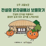 10월 17~18일 ＜전설의 은자골 마을에서 보물 찾기... 상주다움상생플랫폼 10월 17~18일 ＜전설의 은자골 마을에서 보물 찾기＞