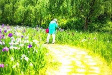 ＜ 시 ＞ 먼길, 계룡산(6/29) - 행운 님 photo - 체칠리아의 음악 카페 ＜ 시 ＞ 먼길, 계룡산(6/29)