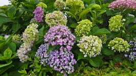 영산강로 한옥 - 마루 님 photo - 체칠리아의 음악 카페 영산강로 한옥