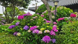 영산강로 한옥 - 마루 님 photo - 체칠리아의 음악 카페 영산강로 한옥