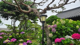 영산강로 한옥 - 마루 님 photo - 체칠리아의 음악 카페 영산강로 한옥