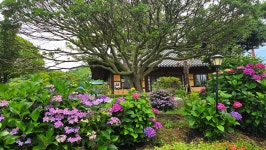 영산강로 한옥 - 마루 님 photo - 체칠리아의 음악 카페 영산강로 한옥