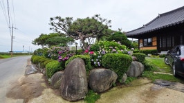 영산강로 한옥 - 마루 님 photo - 체칠리아의 음악 카페 영산강로 한옥
