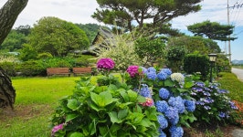 영산강로 한옥 - 마루 님 photo - 체칠리아의 음악 카페 영산강로 한옥