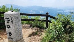 길, 소요산(8/26) - 행운 님 photo - 체칠리아의 음악 카페 길, 소요산(8/26)
