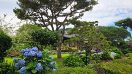 영산강로 한옥 - 마루 님 photo - 체칠리아의 음악 카페 영산강로 한옥