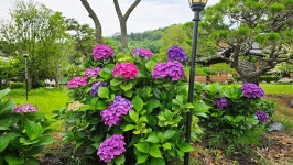 영산강로 한옥 - 마루 님 photo - 체칠리아의 음악 카페 영산강로 한옥