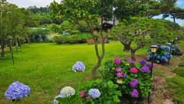 영산강로 한옥 - 마루 님 photo - 체칠리아의 음악 카페 영산강로 한옥