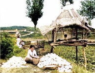 ＜ 단상 ＞ 원두막,기백산(7/15) - 행운 님 photo - 체칠리아의 음악 카페 ＜ 단상 ＞ 원두막,기백산(7/15)