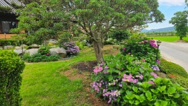 영산강로 한옥 - 마루 님 photo - 체칠리아의 음악 카페 영산강로 한옥