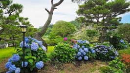 영산강로 한옥 - 마루 님 photo - 체칠리아의 음악 카페 영산강로 한옥