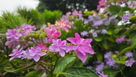 영산강로 한옥 - 마루 님 photo - 체칠리아의 음악 카페 영산강로 한옥