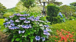 영산강로 한옥 - 마루 님 photo - 체칠리아의 음악 카페 영산강로 한옥