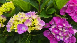 영산강로 한옥 - 마루 님 photo - 체칠리아의 음악 카페 영산강로 한옥