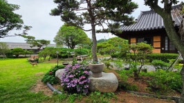 영산강로 한옥 - 마루 님 photo - 체칠리아의 음악 카페 영산강로 한옥