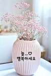 그 길의 끝에 희망이 있다/이미지 - ‥‥공유 ♡ 좋은글 - 향기있는 좋은글 그 길의 끝에 희망이 있다/이미지