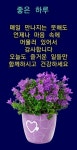 칙칙폭폭 2025호 인생 열차 - ‥‥공유 ♡ 좋은글 - 향기있는 좋은글 칙칙폭폭 2025호 인생 열차