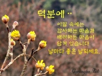 살다보면 - ‥‥공유 ♡ 좋은글 - 향기있는 좋은글 살다보면