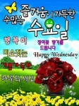 수요일 아침! 꽃샘추위가 질투를 하고 있네요 / 봄을 기다리는 마음... 한울타리💜 수요일 아침! 꽃샘추위가 질투를 하고 있네요 / 