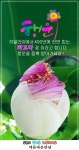 일요일아침 문안편지 / 삶의 잔잔한 행복 - 🔶️공유 글🔰나눔 - 💜산야와 한울타리💜 일요일아침 문안편지 / 삶의 잔잔한 행복