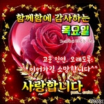 목요일 아침에! 행복을 드립니다 / 이미지(동영상) - 🔶️공유 글🔰나눔 - 💜산야와 한울타리💜 목요일 아침에! 