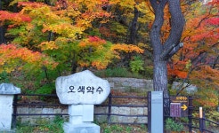 10월25일(일)설악산 오색주전골 단풍트레킹+남대천생태공원 억색 - / 자유게시판 / - 산오름 카페 10월25일(일)설악산 오색주전골 단풍트레킹... 