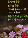 절망속에 피어난꽃 - ‥‥공유 ♡ 좋은글 - 향기있는 좋은글 절망속에 피어난꽃