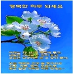 입추를 앞둔 서울, 역대 최고기온 기록 가능성…폭염 지속