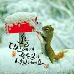 아침인사 드립니다!/ 이미지 - ‥‥영상 ♡ 좋은글 - 향기있는 좋은글 아침인사 드립니다!/ 이미지