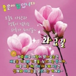 화요일 아침편지 / 꽃 피는 봄엔 - 🔶️공유 글🔰나눔 - 💜산야와 한울타리💜 화요일 아침편지 / 꽃 피는 봄엔