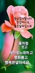 우리 사랑하는 날 동안에/ 이미지 - ‥‥공유 ♡ 좋은글 - 향기있는 좋은글 우리 사랑하는 날 동안에/ 이미지