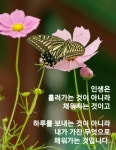 목요일 아침 편지 당신 멋져! - ‥‥공유 ♡ 좋은글 - 향기있는 좋은글 목요일 아침 편지 당신 멋져!