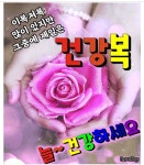 당신이 있어 세상은 아름답습니다// 이미지 - ‥‥공유 ♡ 좋은글 - 향기있는 좋은글 당신이 있어 세상은 아름답습니다// 이미지