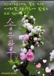 좋은말씀 / 예쁜카톡이미지 - ‥‥ⓔ미지 ♡ 자료실 - 향기있는 좋은글 향기있는 좋은글