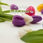 월요일 아침 문안편지! 이 아침의 행복을 그대에게 / 이미지(동영상) - 🔶️공유 글🔰나눔 - 💜산야와 한울타리💜 월요일 아침 문안편지! 