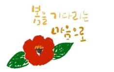 꽃샘추위가 질투를 하고 있네요 / 봄을 기다리는 마음 - 🔶️공유 글🔰나눔 - 💜산야와 한울타리💜 수요일 아침! 꽃샘추위가 질투를 하고... 