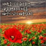 후회없이 아름다운 삶/ 이미지 - ‥‥공유 ♡ 좋은글 - 향기있는 좋은글 후회없이 아름다운 삶/ 이미지