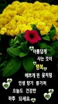 토요일 아침편지! 당신은 눈부신 선물입니다 / 이미지(동영상) - 🔶️공유 글🔰나눔 - 💜산야와 한울타리💜 토요일 아침편지! 
