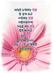 인연이란? - ‥‥공유 ♡ 좋은글 - 향기있는 좋은글 인연이란?