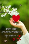 마음을 아는 벗! - ‥‥공유 ♡ 좋은글 - 향기있는 좋은글 마음을 아는 벗!