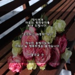 마음의 꽃을 당신에게 / 이미지(동영상) - 🔶️공유 글🔰나눔... 한울타리💜 수요일 아침에! 마음의 꽃을 당신에게 / 이미지(동영상)