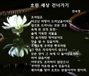 흐린 세상 건너가기 - ‥‥공유 ♡ 좋은글 - 향기있는 좋은글 흐린 세상 건너가기