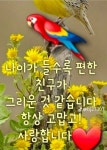행복한 하루 인사 - ‥‥자유 ♡ 게시판 - 향기있는 좋은글 향기있는 좋은글