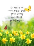 덕향 만리 - ‥‥영상 ♡ 좋은글 - 향기있는 좋은글 덕향 만리