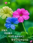 만족(满足) - ‥‥공유 ♡ 좋은글 - 향기있는 좋은글 만족(满足)