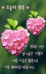 여러가지 다양한 이미지 - ‥‥ⓔ미지 ♡ 자료실 - 향기있는 좋은글 향기있는 좋은글